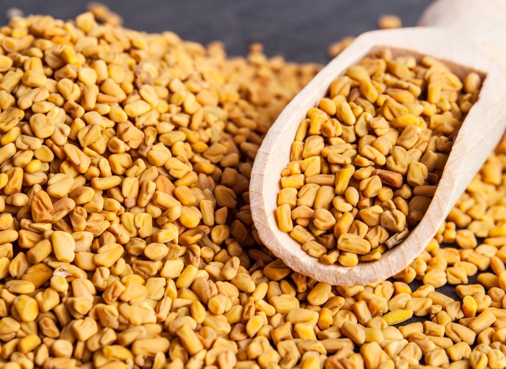 Fenugreek Seeds